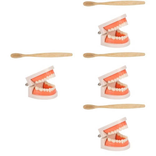 Sets teeth care model kids - care,