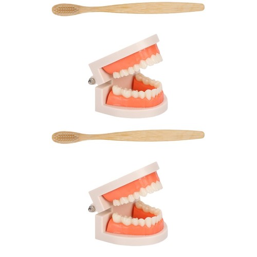 Sets teeth care model - care, kids