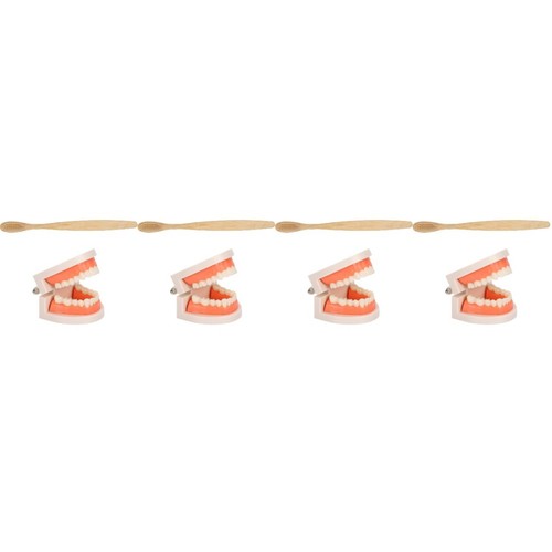 Sets teeth care model - 4,