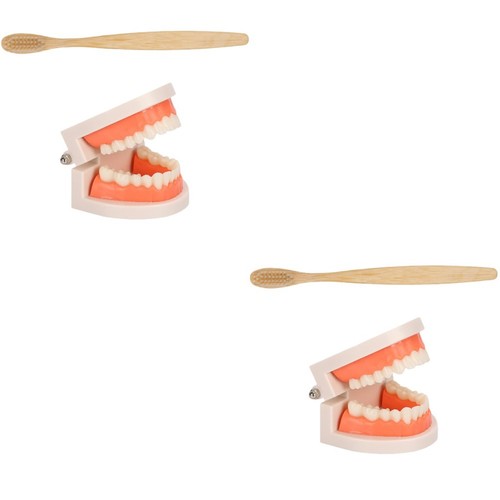 Sets teeth care model kids - sets,